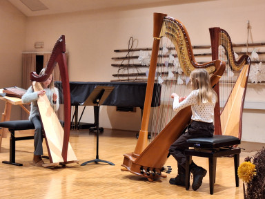 Razredni nastop učencev harfe in citer